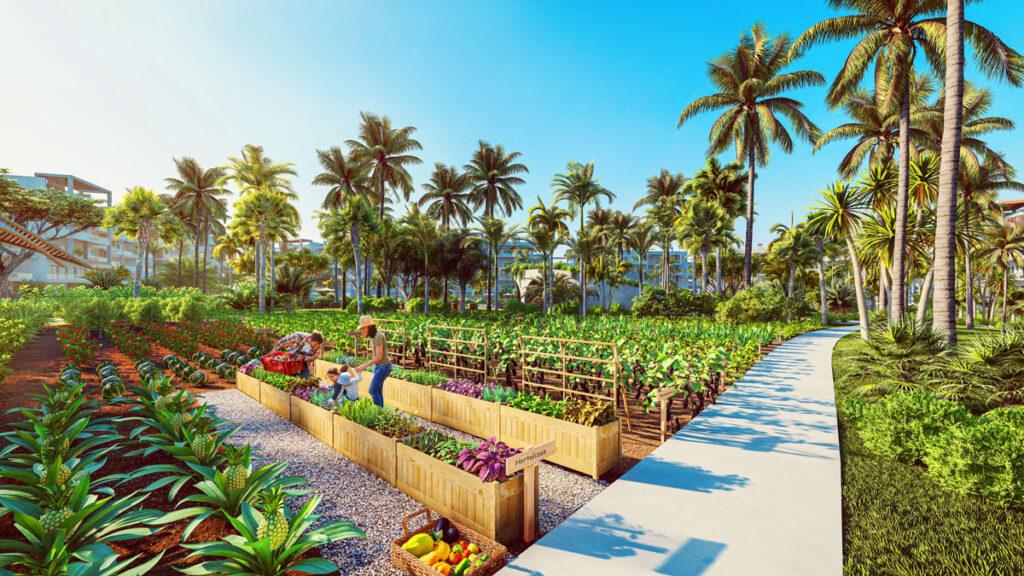 Hermoso huerto orgánico para consumo de los huéspedes y propietario de The Seed Punta Cana