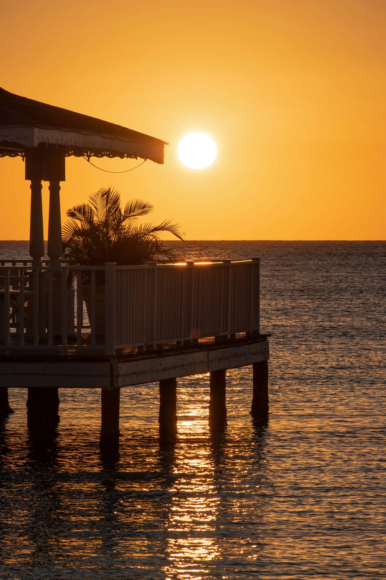 Atardecer sobre el mar Caribe con la silueta de un muelle y una palmera en La Romana, República Dominicana