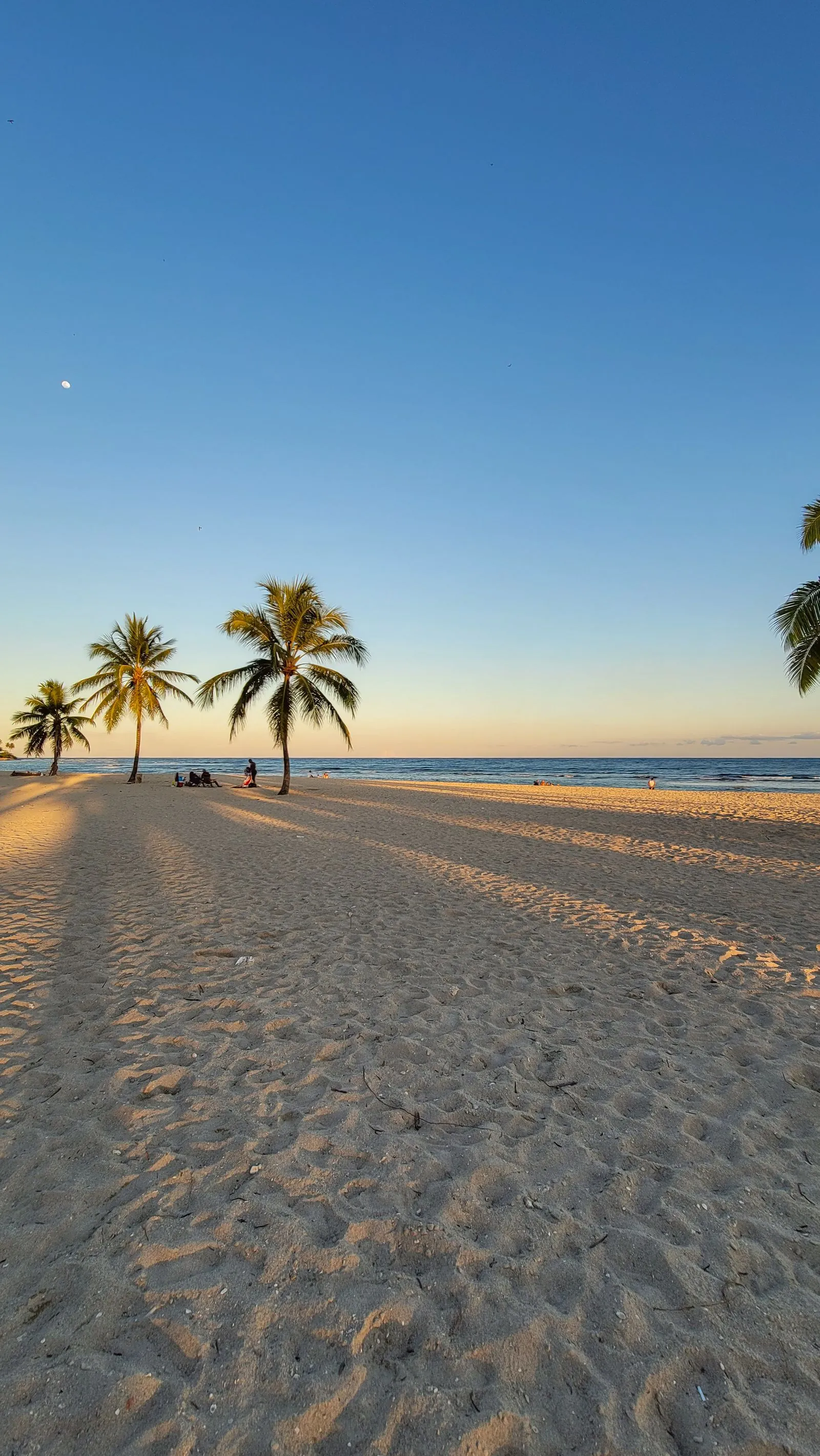 Atardecer en la playa de Juan Dolio, con la arena marcada de huellas, palmeras y el mar Caribe al fondo