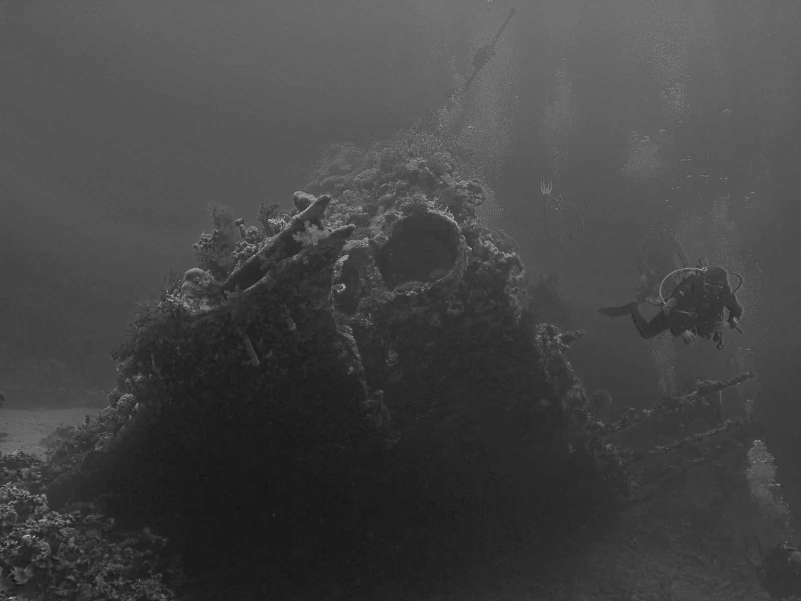 Buzo explorando un barco hundido cubierto de vida marina, una experiencia similar a la del Parque Nacional Submarino La Caleta