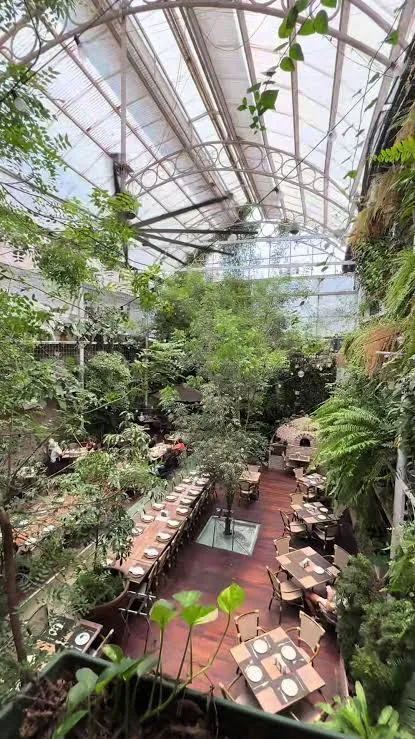 Jardín interior de Buche Perico bajo un techo de cristal, con plantas y mesas, en la calle El Conde