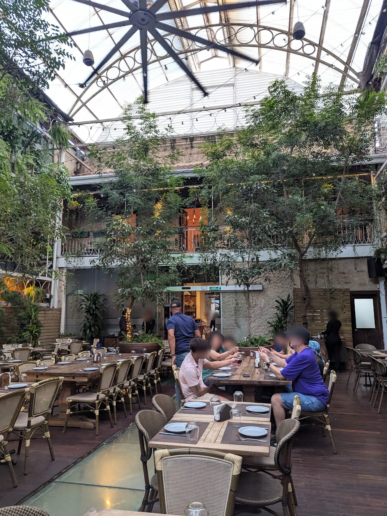 Salón de Buche Perico con árboles y mesas largas de madera bajo el techo de cristal