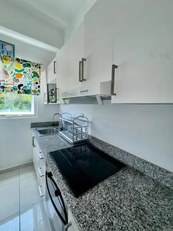 Cocina con tope de granito y estufa de inducción en Tepuy Juan Dolio