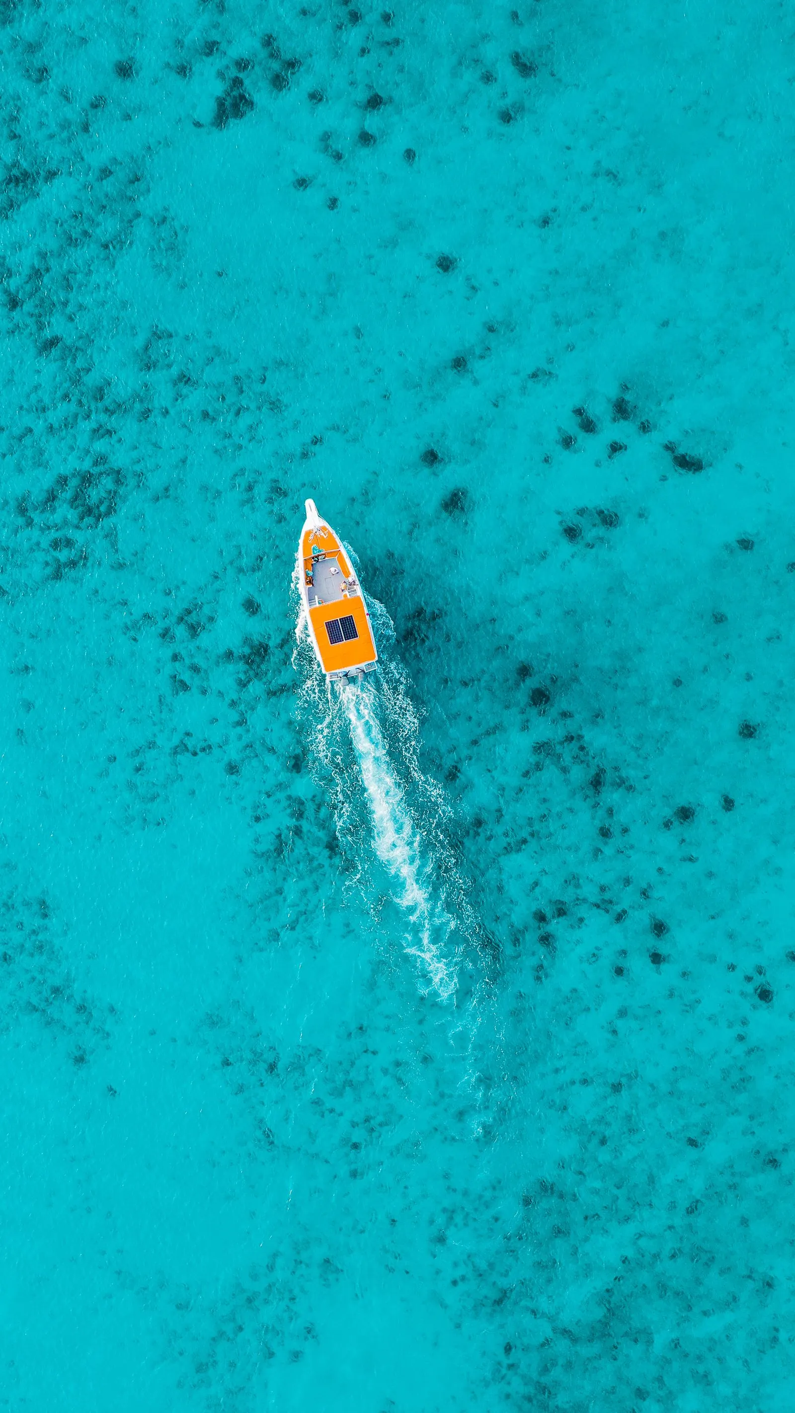 Lancha navegando en aguas turquesa frente a Bayahíbe, punto de salida de las excursiones a la isla Saona