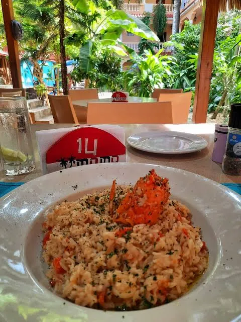 Risotto de camarones en una mesa de la terraza de Momo Paradise, con el jardín tropical al fondo