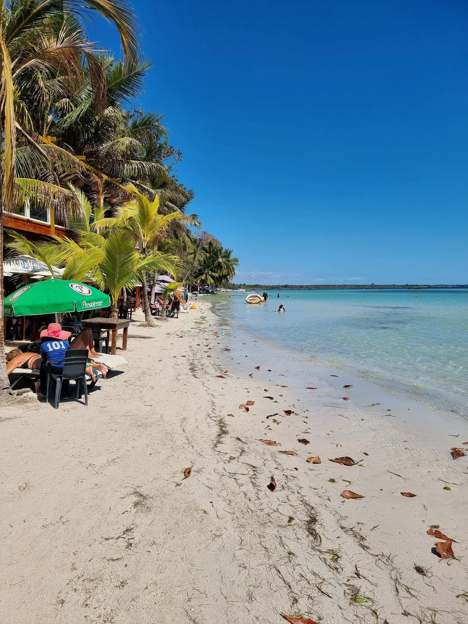 Playa de arena clara con palmeras, sombrillas y agua tranquila, como las de la costa de Boca Chica