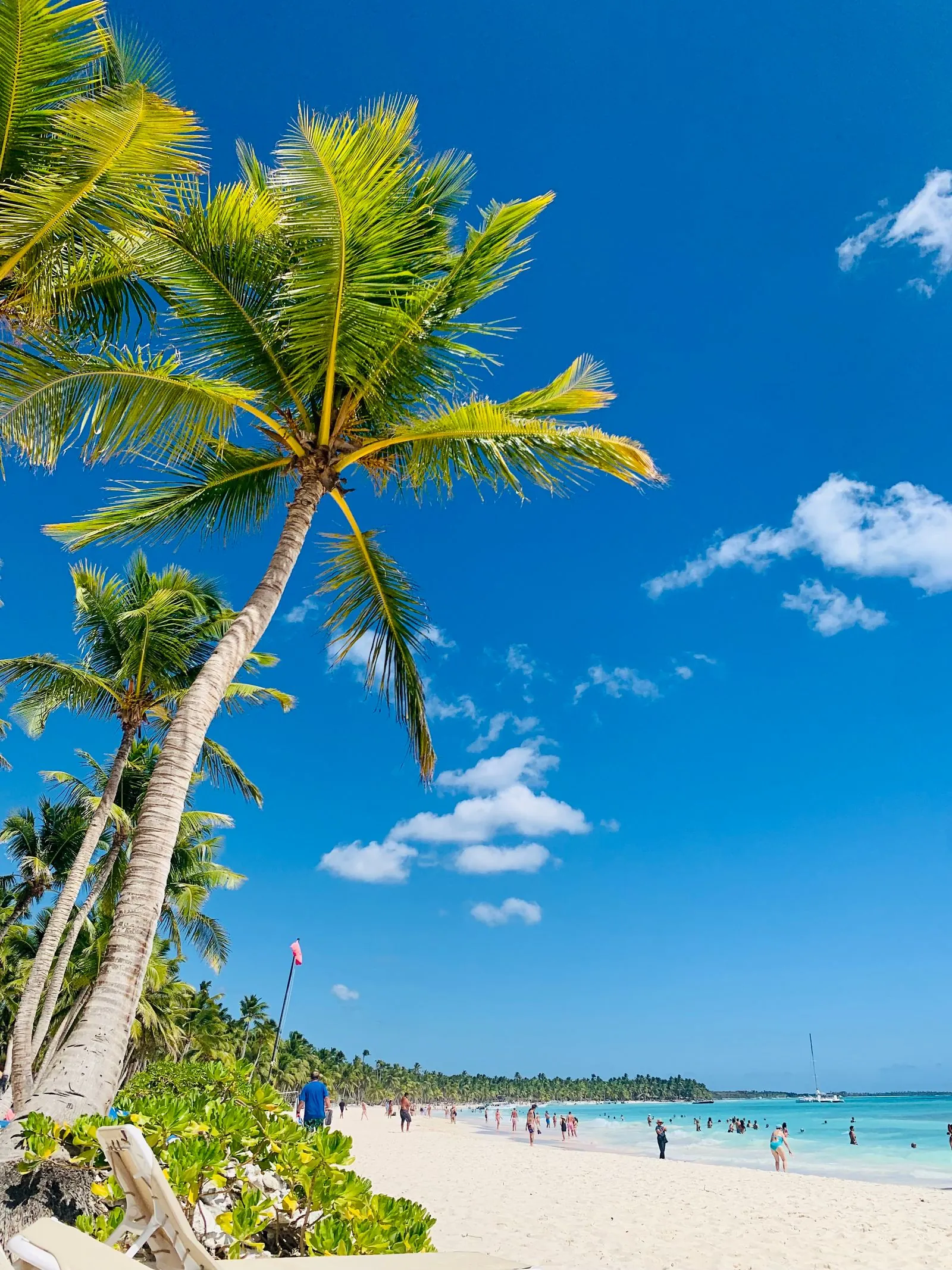 Playa con palmeras y arena blanca en La Romana, República Dominicana, un atractivo para la renta vacacional