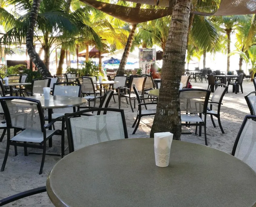 Mesas y sillas de El Puerco Rosado en la arena bajo las palmeras de la playa de Boca Chica