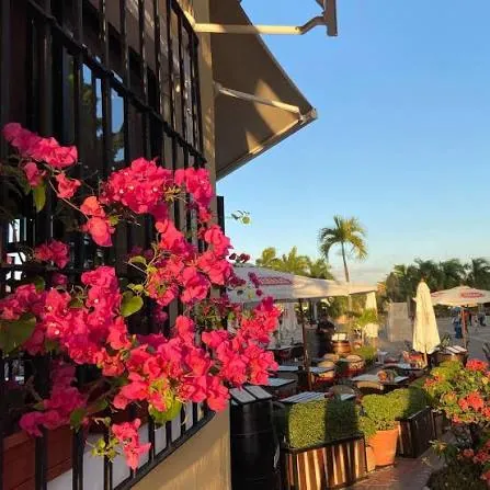 Terraza de Pura Tasca con buganvilias rosadas al atardecer en la Plaza de España, Zona Colonial