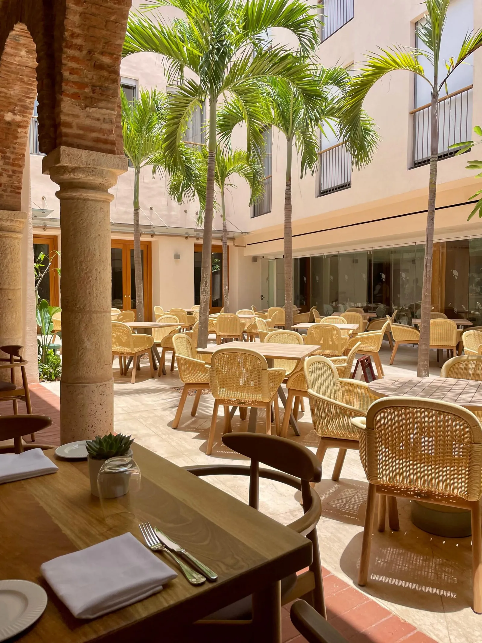 Terraza de Zola con sillas de fibra y palmeras en el patio interior del hotel Kimpton Las Mercedes, Zona Colonial